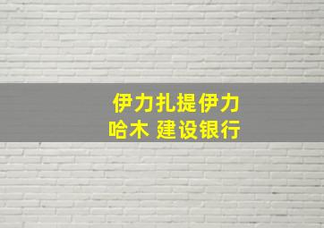 伊力扎提伊力哈木 建设银行